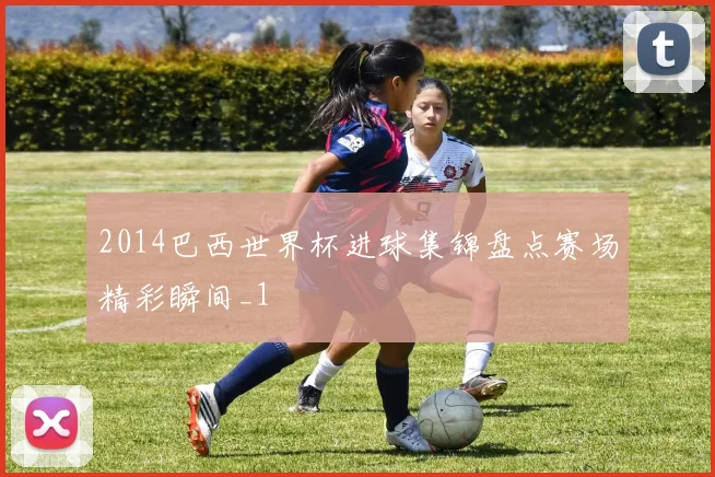2014巴西世界杯进球集锦盘点赛场精彩瞬间_1