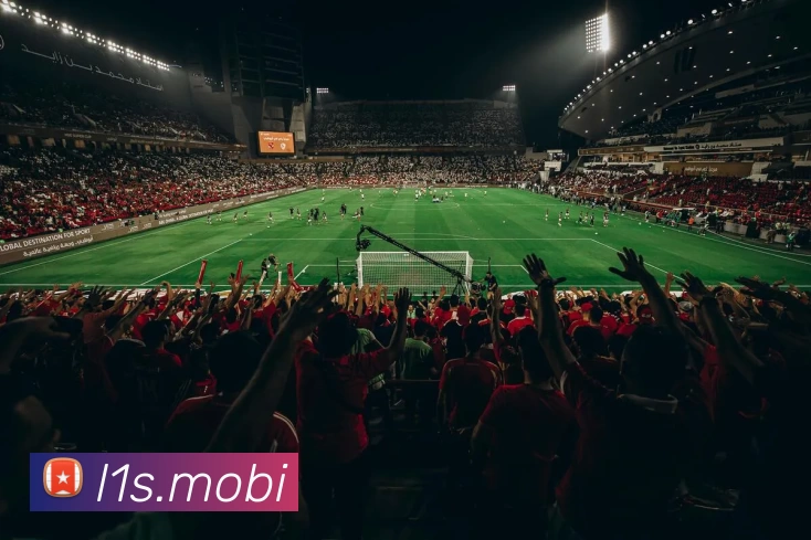 kaiyun电竞发展历程